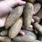 千眼菩提子原籽原料按斤大量超级大果通货精品果手把件挂件