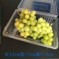 厂家直供食品盒点心盒包装盒定做生鲜托盘水果盒肉片盒