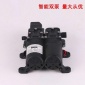 12V水泵高压双泵自吸泵智能双泵打农药洗车泵超压停机洗车器**