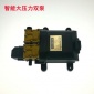 车载洗车水泵高压双泵洗车器配件12v双核泵带壳水泵大压力双核泵