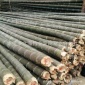 专业生産定制加工！**供应各类规格优质毛竹、楠竹