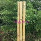 厂家白竹杆现货供应竹竿多规格支持定制竹竿批发**从优